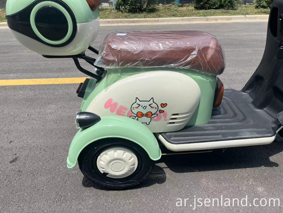 Electric Mini Tricycle